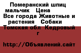 Померанский шпиц, мальчик › Цена ­ 35 000 - Все города Животные и растения » Собаки   . Томская обл.,Кедровый г.